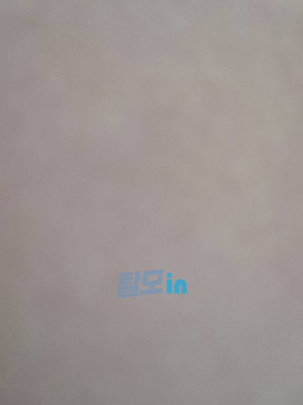 아보스테리드 400정 photo review