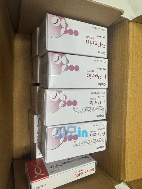에프페시아 700정 photo review
